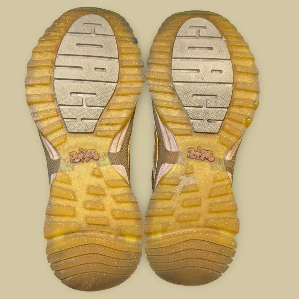 Coach c115 tech